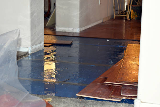 Professional Basement Flood Cleanup technician working in Portland, IN